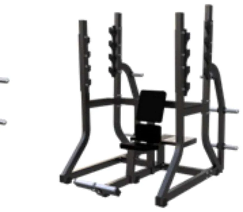 Olympic Decline Bench – D973