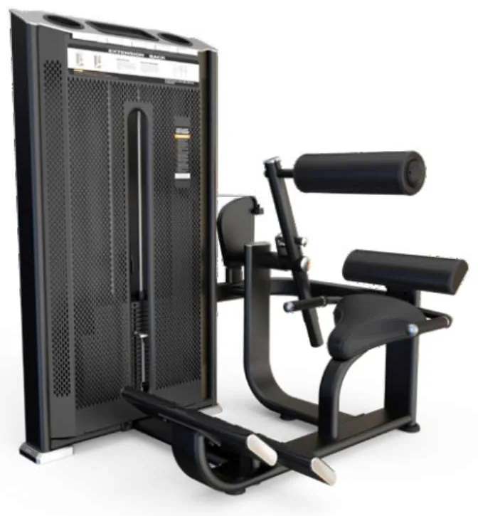 Back Extension – E7031A