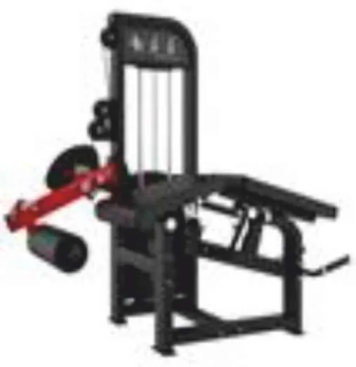 Combo Leg Exercise Row – GC-5058