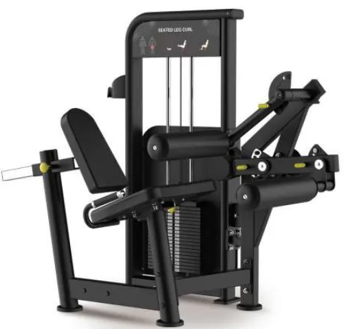 Seated Leg Curl – LY 013