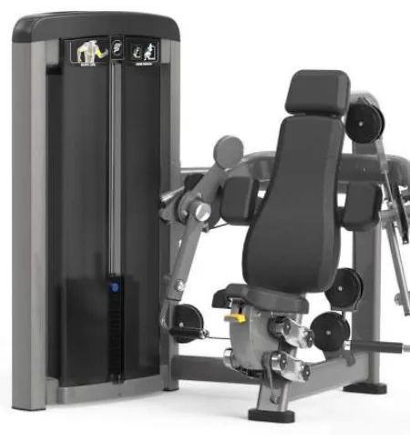 Biceps Curl – SF90 006