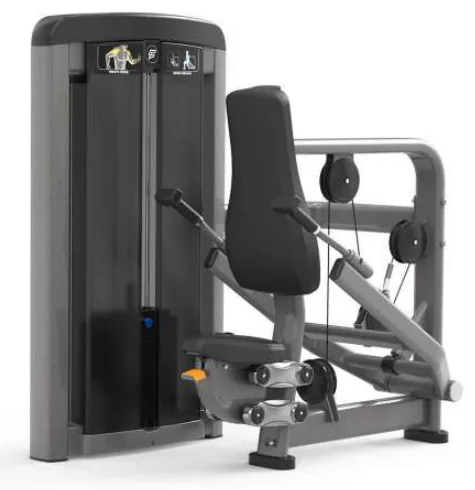 Triceps Press – SF90 007