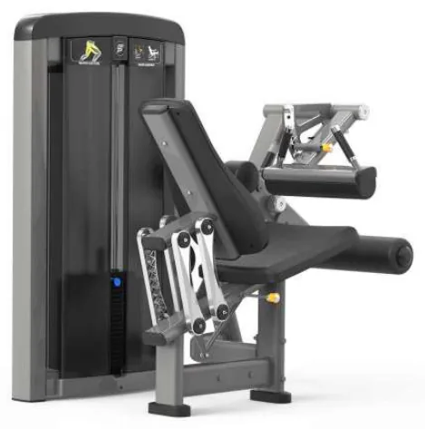 Seated Leg Curl – SF90 013