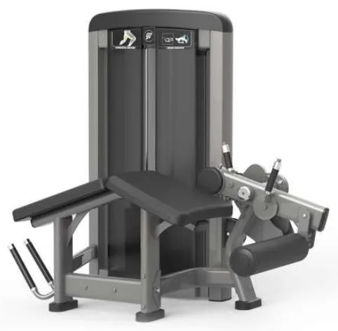 Horizontal Leg Curl – SF90 013A
