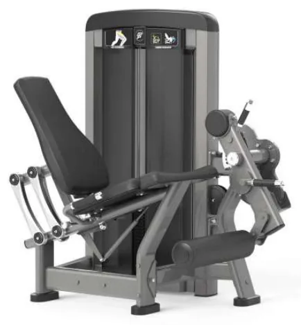 Leg Extension – SF90 014