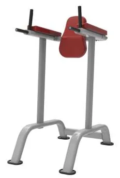 Vertical Knee Raise – TZ-4001