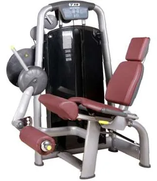 Leg Extension – TZ-6002
