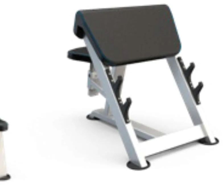 Seated Preacher Curl – U3044