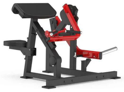 Bicep Trainer – XVD-05