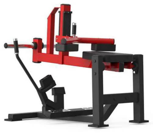 Seated Calf Machine – XVD-19